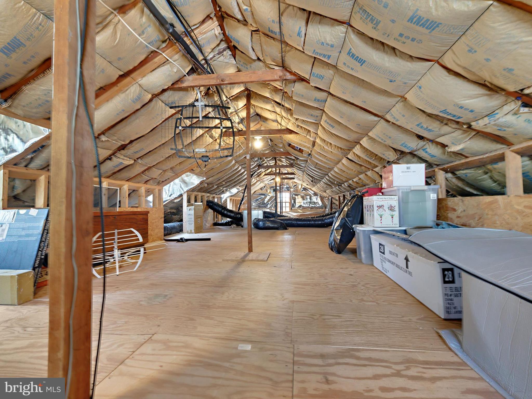 6 Brice Road Annapolis, MD 21409 - Photo 34 of 107 HUGE Attic with lots of storage