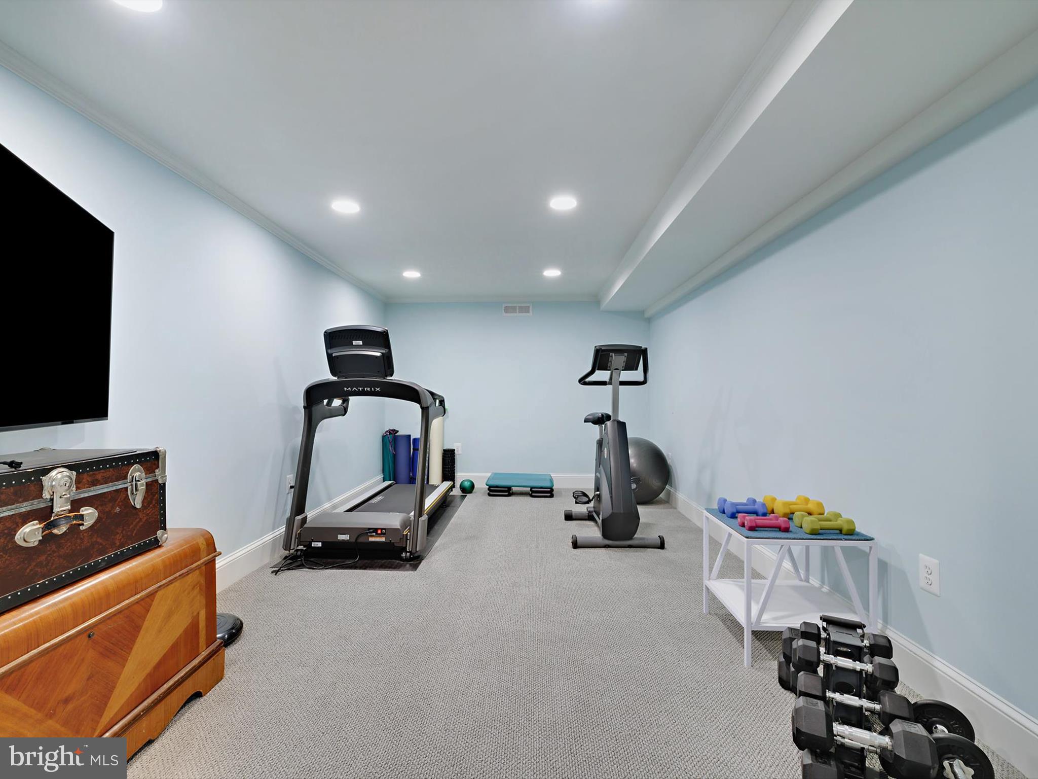 6 Brice Road Annapolis, MD 21409 - Photo 38 of 107 Lower Level Bonus Room/ Gym