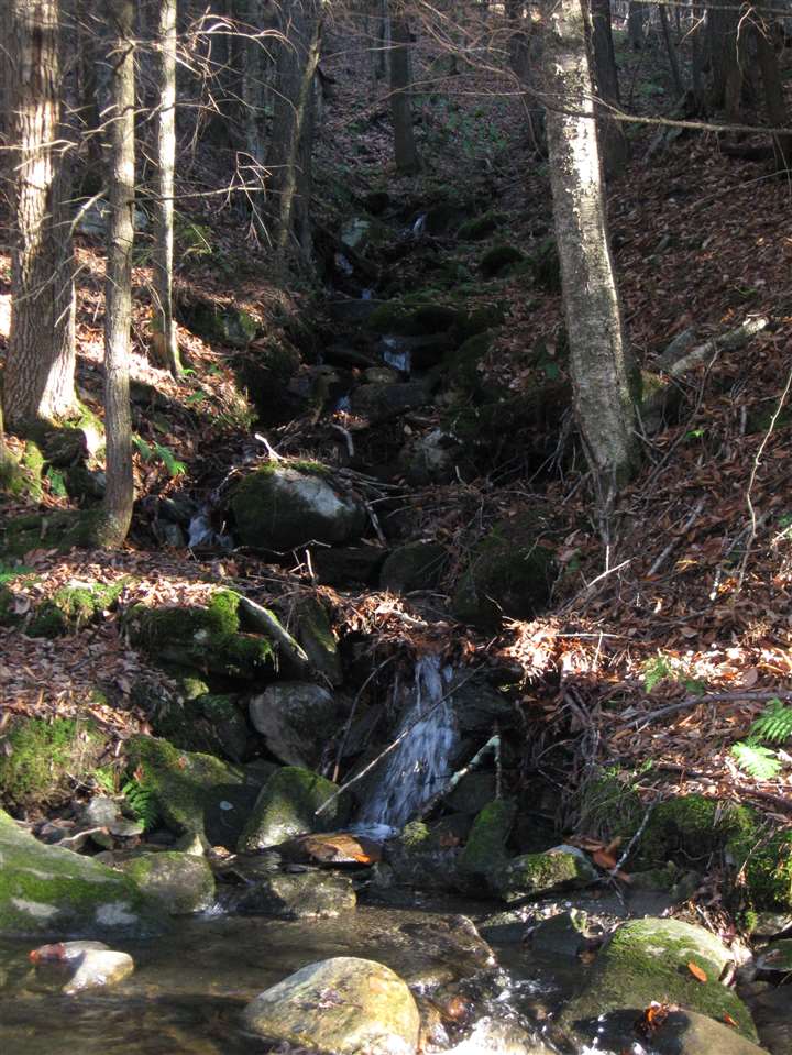 126 Miller Pond Road Strafford, VT 05075 - Photo 40 of 40