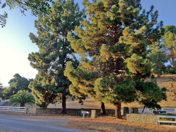 3739 Foothill Road Santa Barbara, CA 93105 - Photo 19 of 20 AcrossStreet