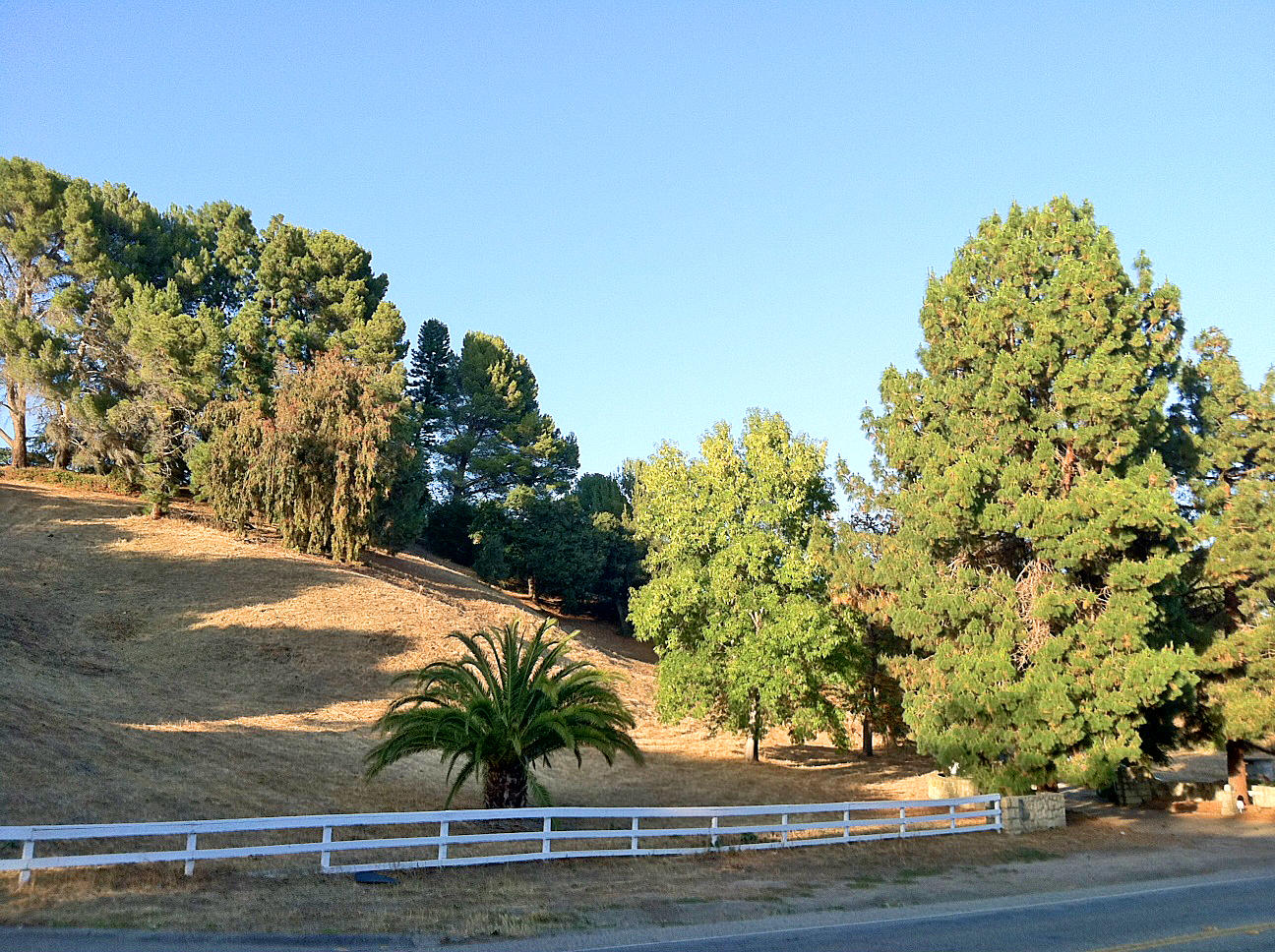 3739 Foothill Road Santa Barbara, CA 93105 - Photo 20 of 20 PalmFieldAcrossStreet