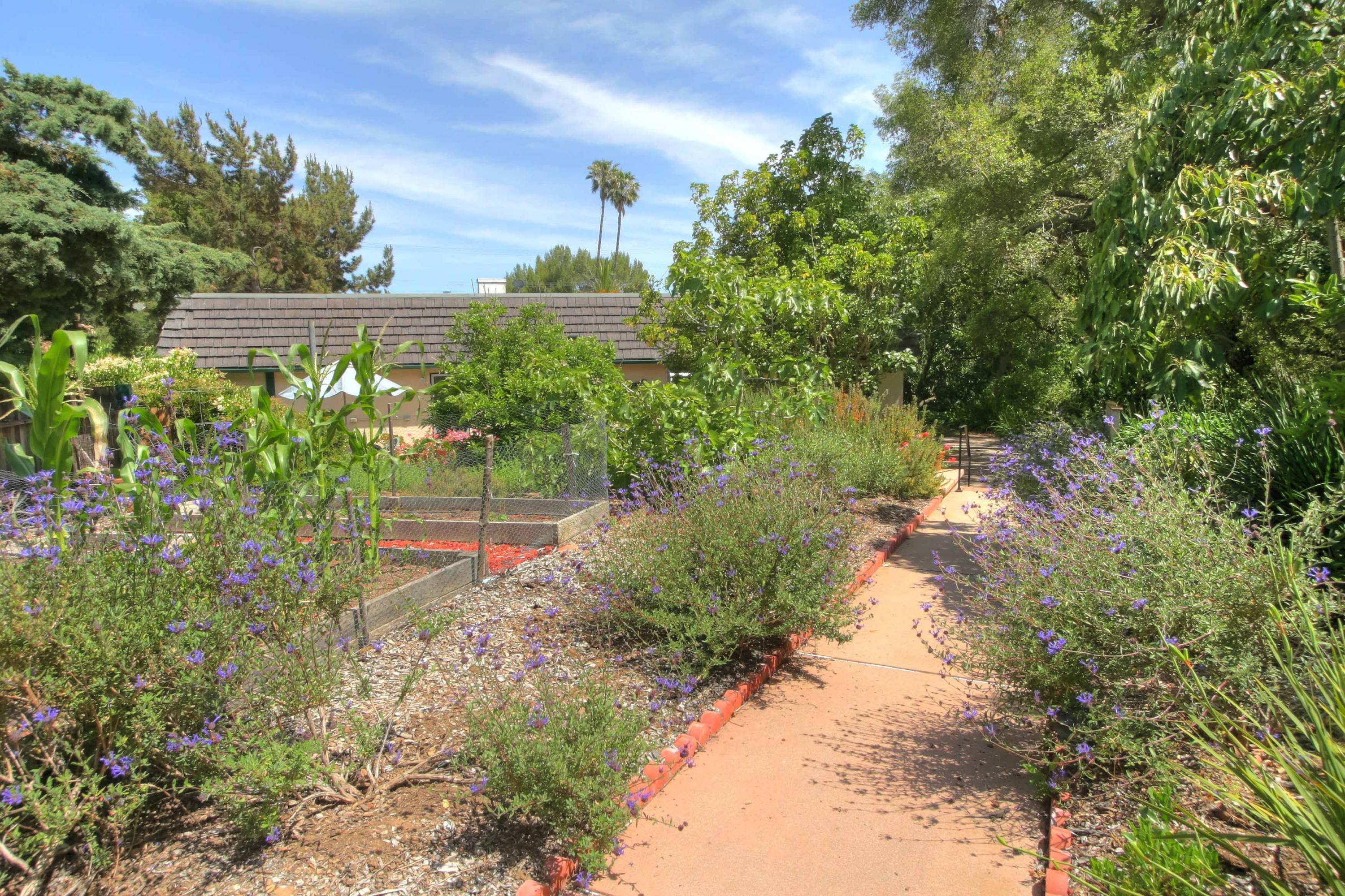 3739 Foothill Road Santa Barbara, CA 93105 - Photo 6 of 20 8078_Garden&Path72dpiRESZ