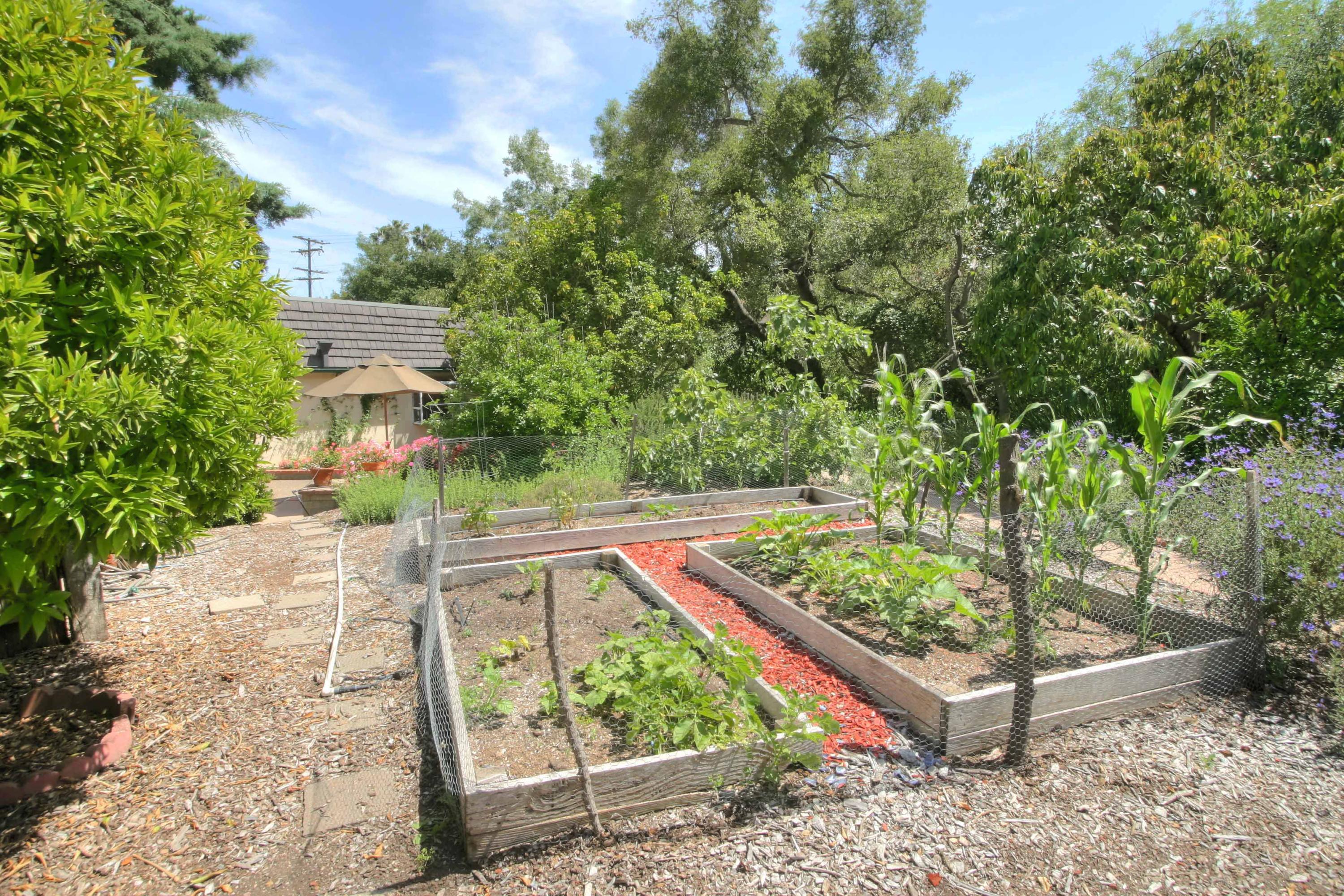 3739 Foothill Road Santa Barbara, CA 93105 - Photo 8 of 20 8075_RaisedBeds72dpiRESZ
