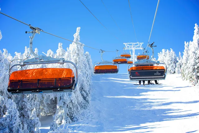 $925,000 | 168 Okemo Trailside Extension, Unit 21B, Ludlow, VT 05149