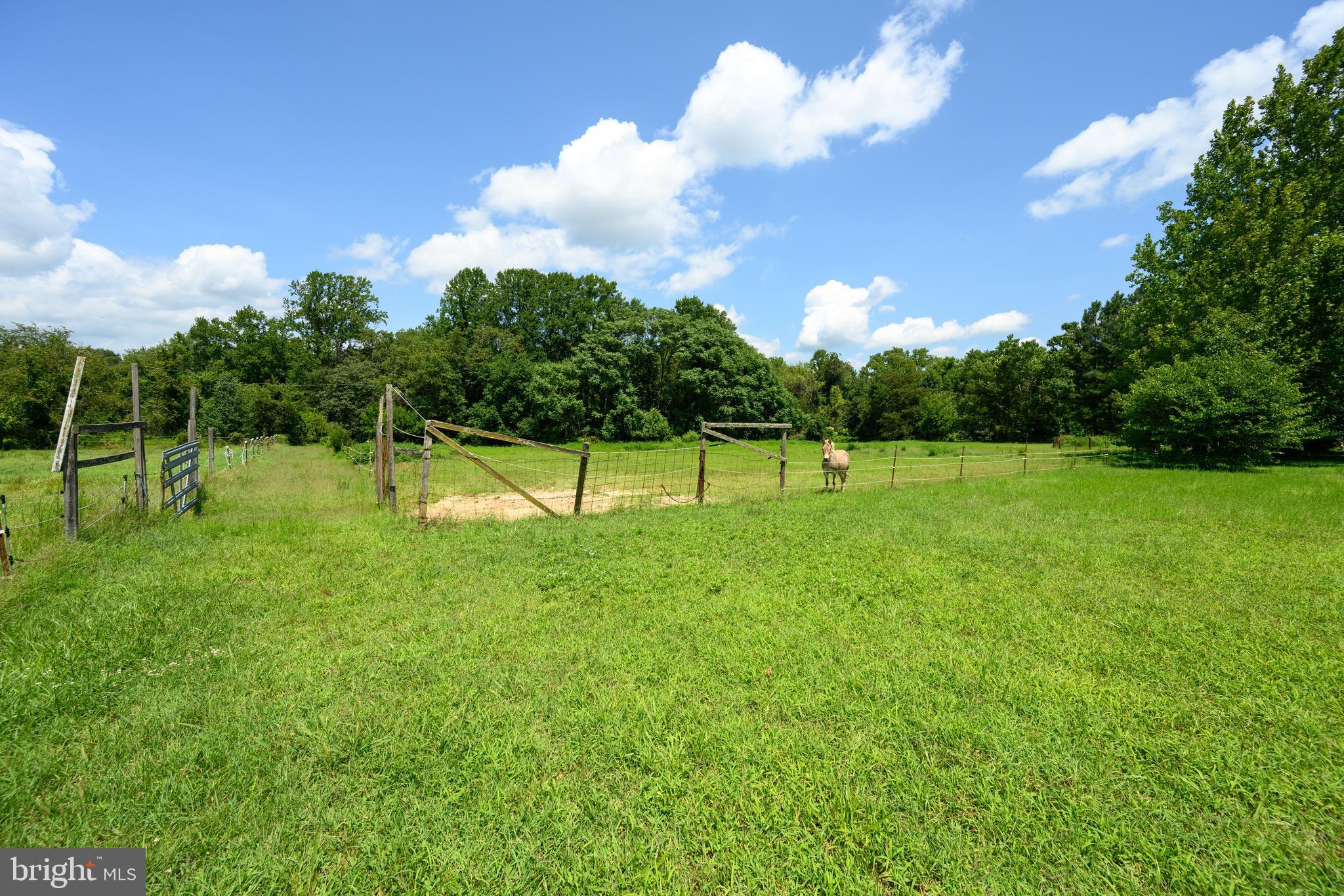 204 Groff Road Millington, MD 21651 - Photo 31 of 41 Gallery Image 31