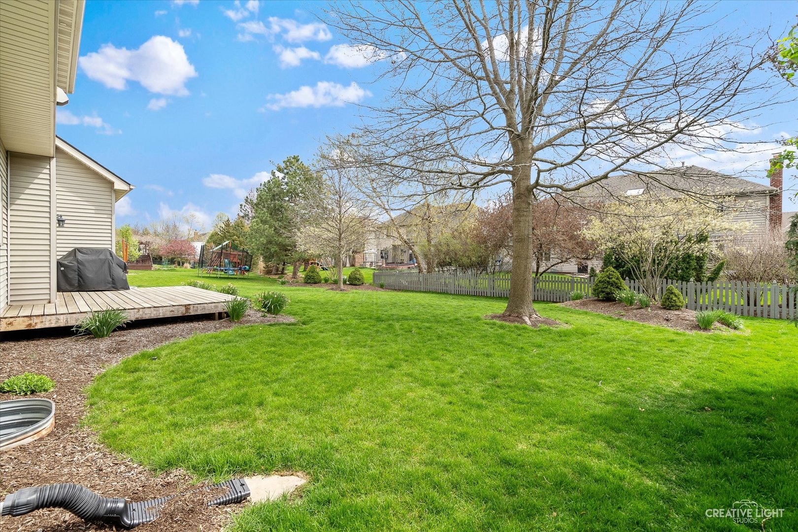 3812 Grassmere Road Naperville, IL 60564 - Photo 28 of 46 a view of a park with large trees