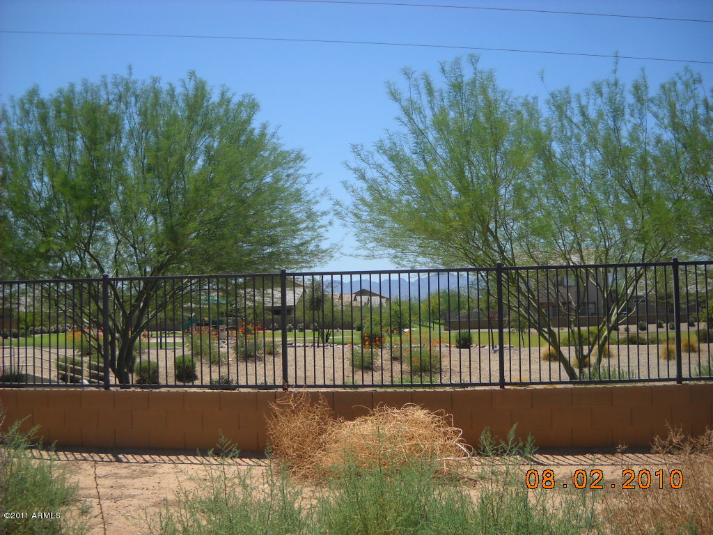 9315 West Heber Road Tolleson, AZ 85353 - Photo 9 of 10 Back yard