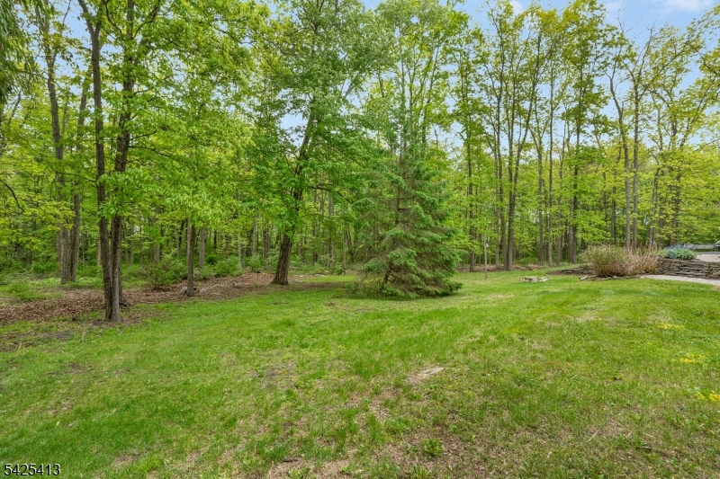 70 Mattison Road Branchville, NJ 07826 - Photo 47 of 50