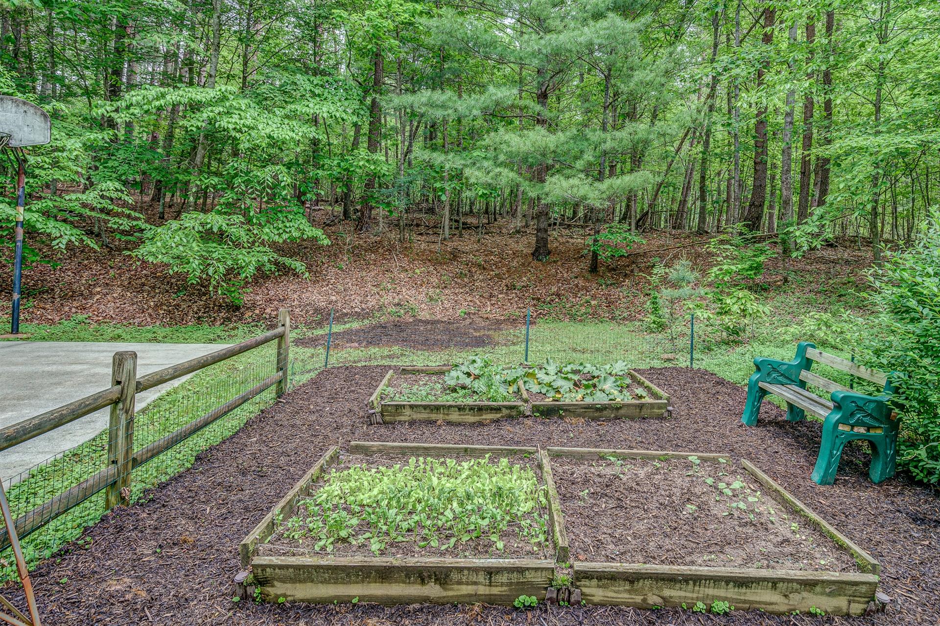 6795 Back Creek Road Boones Mill, VA 24065 - Photo 40 of 52 38-6795 Back Creek 038
