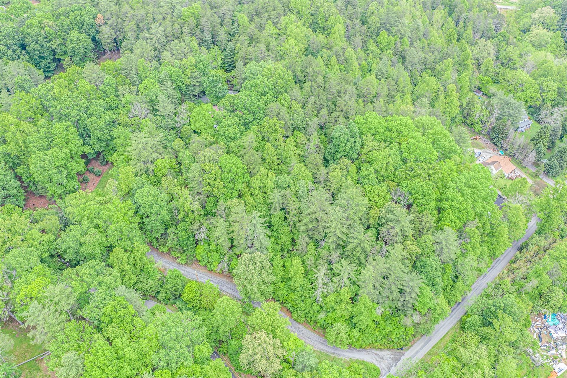 6795 Back Creek Road Boones Mill, VA 24065 - Photo 50 of 52 48-6795 Back Creek 048