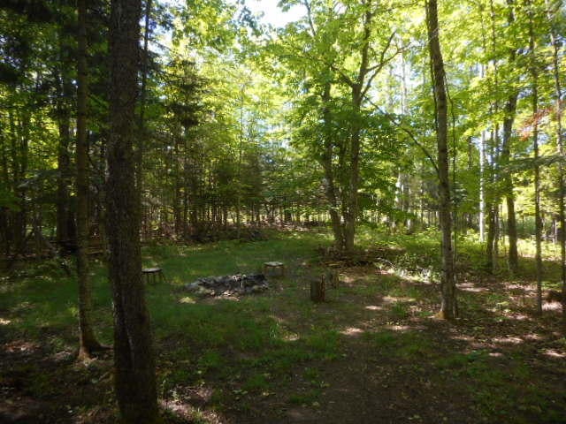0 Gager Road Curtis, MI 49820 - Photo 18 of 41 Gallery Image 18