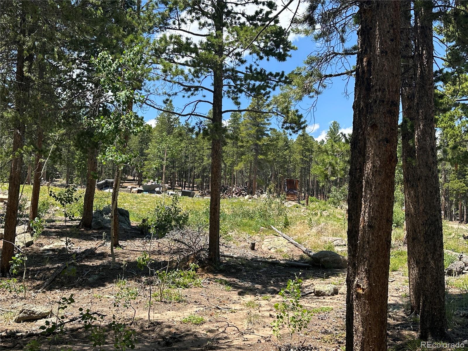 Mountain Meadows Black Hawk, CO 80422 - Photo 29 of 33