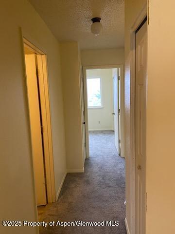 2437 Rail Avenue Rifle, CO 81650 - Photo 6 of 9 IMG_1168(1)