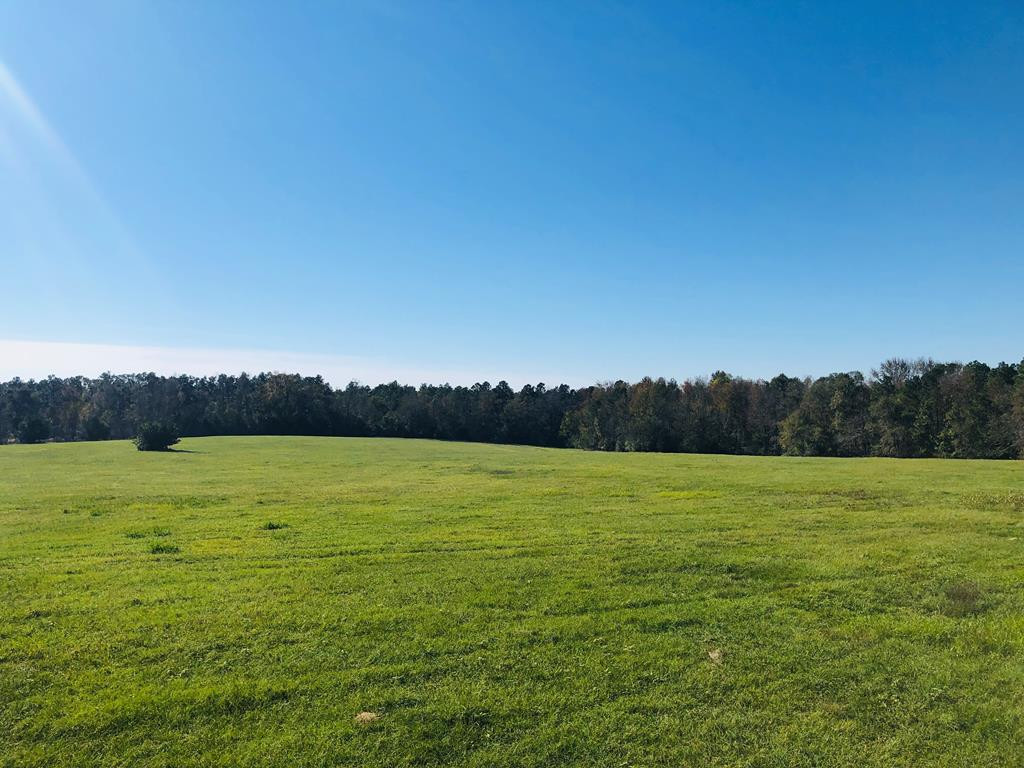 63 Medwell Hill Road Aiken, SC 29803 - Photo 4 of 6