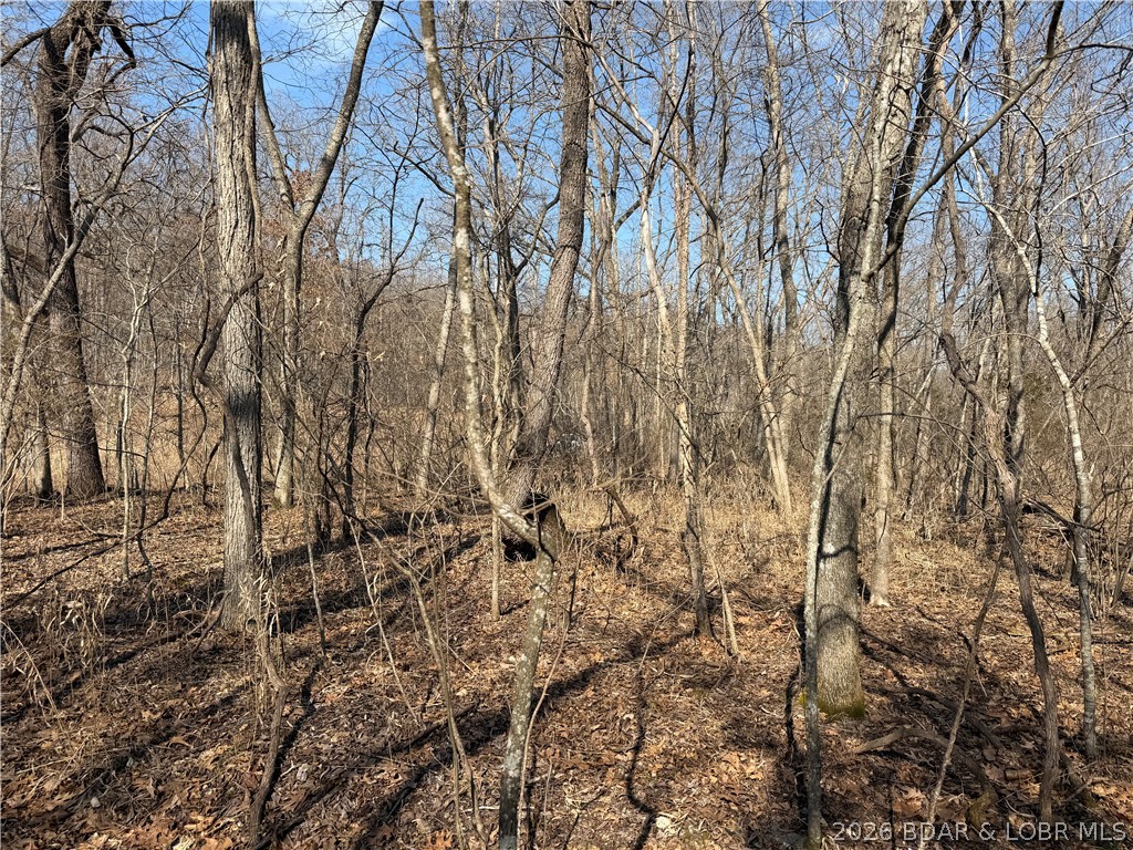 Copperhead Holler Roach, MO 65787 - Photo 20 of 26