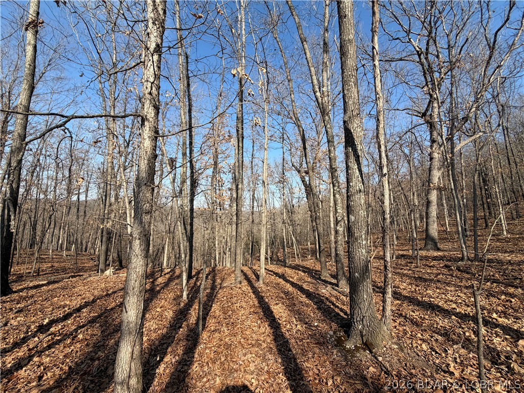 Copperhead Holler Roach, MO 65787 - Photo 3 of 26