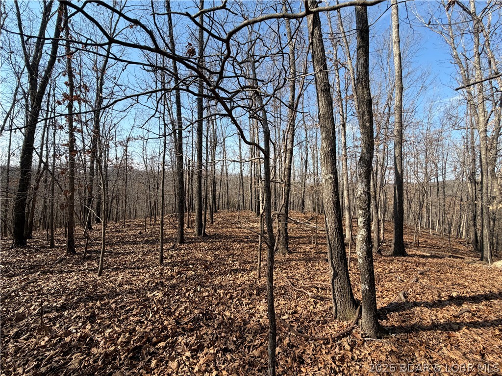 Copperhead Holler Roach, MO 65787 - Photo 4 of 26