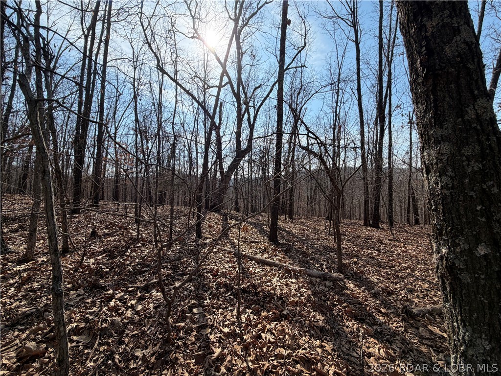 Copperhead Holler Roach, MO 65787 - Photo 5 of 26