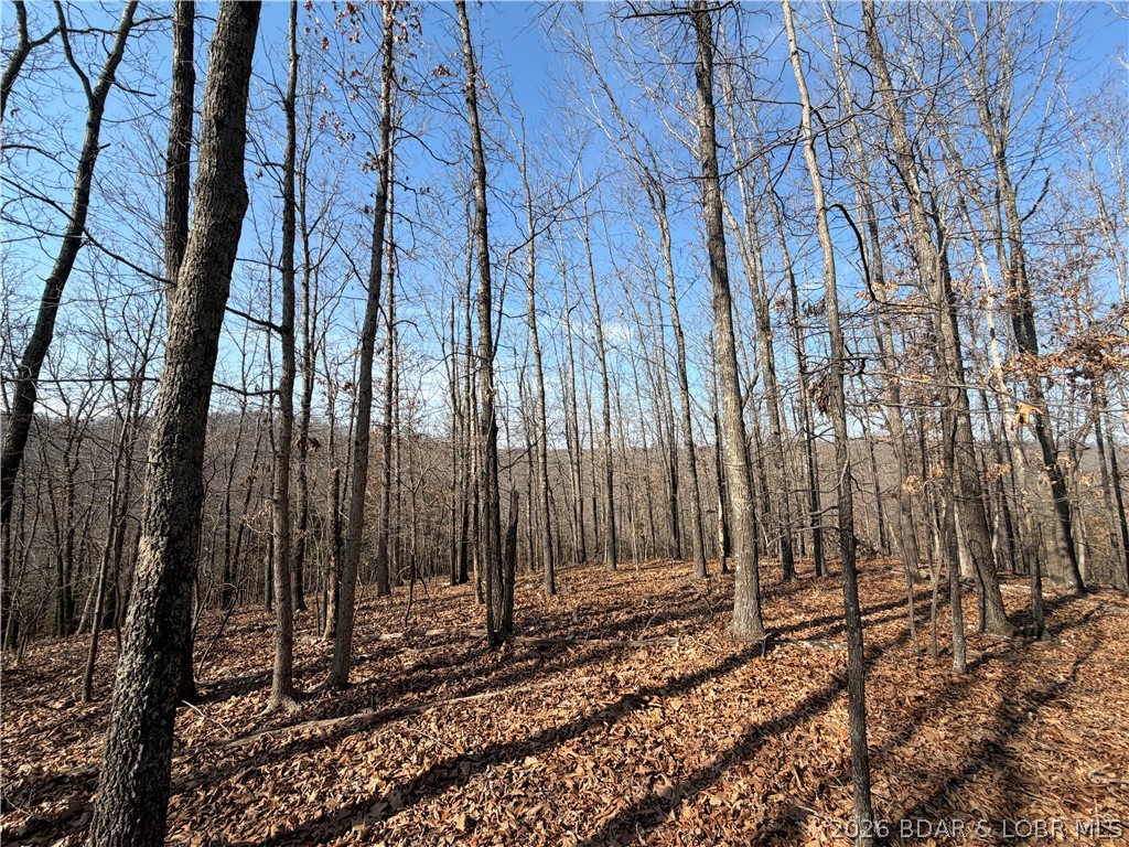 Copperhead Holler Roach, MO 65787 - Photo 8 of 26