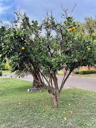 $1,580 | 317 Whitewing Drive, La Joya, TX 78560