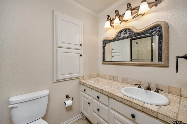 a bathroom with a granite countertop toilet sink and mirror