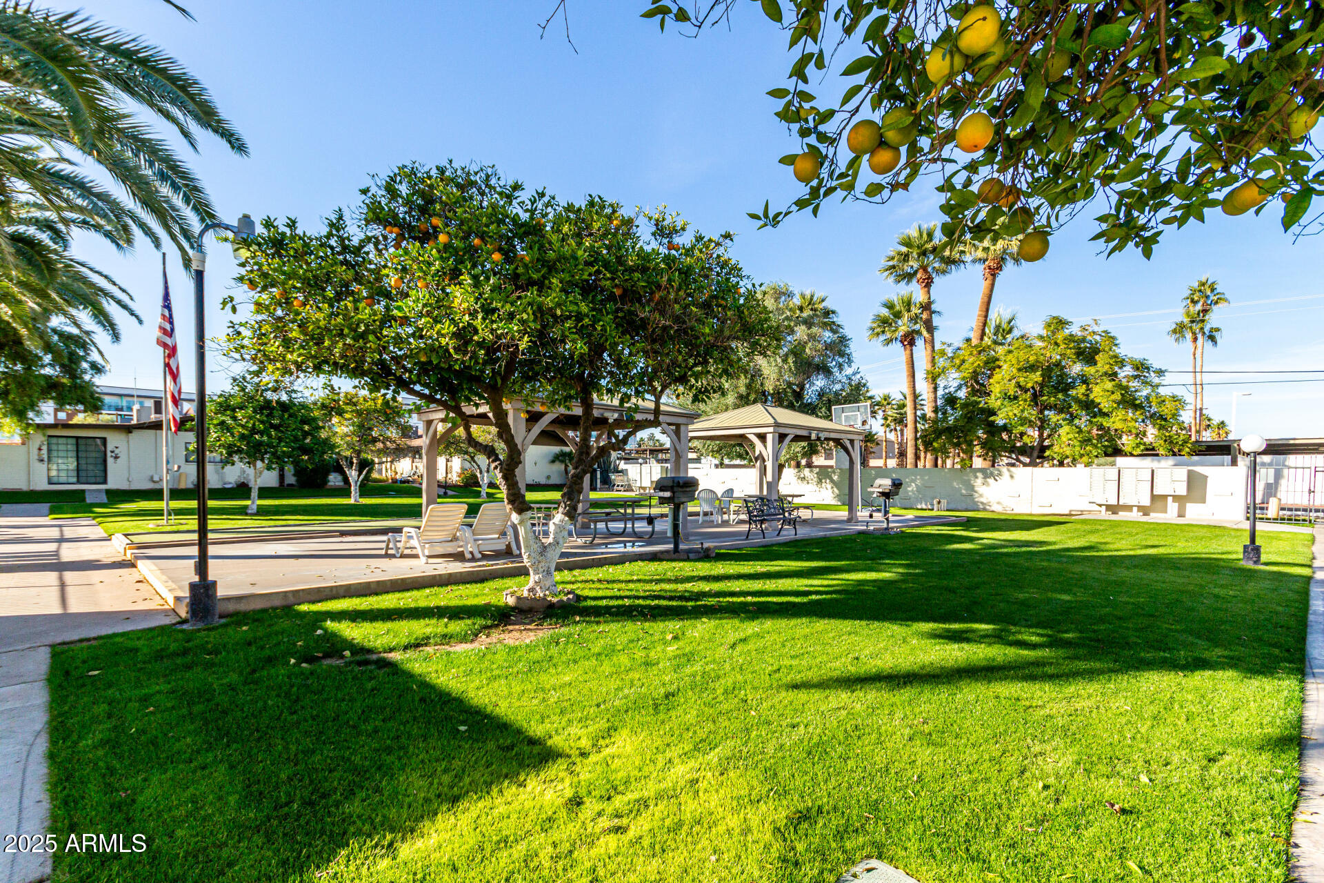 6721 East McDowell Road, Unit B314 Scottsdale, AZ 85257 - Photo 27 of 31 a view of a park with large trees