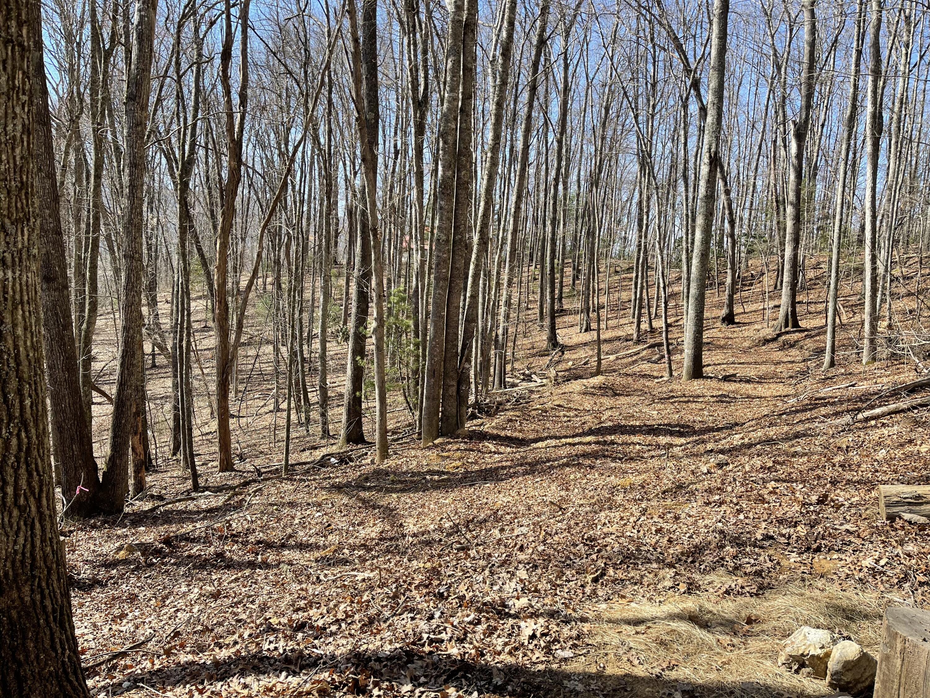 0 Mining Ridge Road, Unit 14 Mountain City, TN 37683 - Photo 5 of 5 2023-03-21 10.47.37