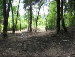 Lot 6 Mendota Road Hiltons, VA 24258 - Photo 7 of 8 Photo 7