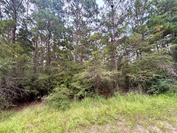 a view of a yard