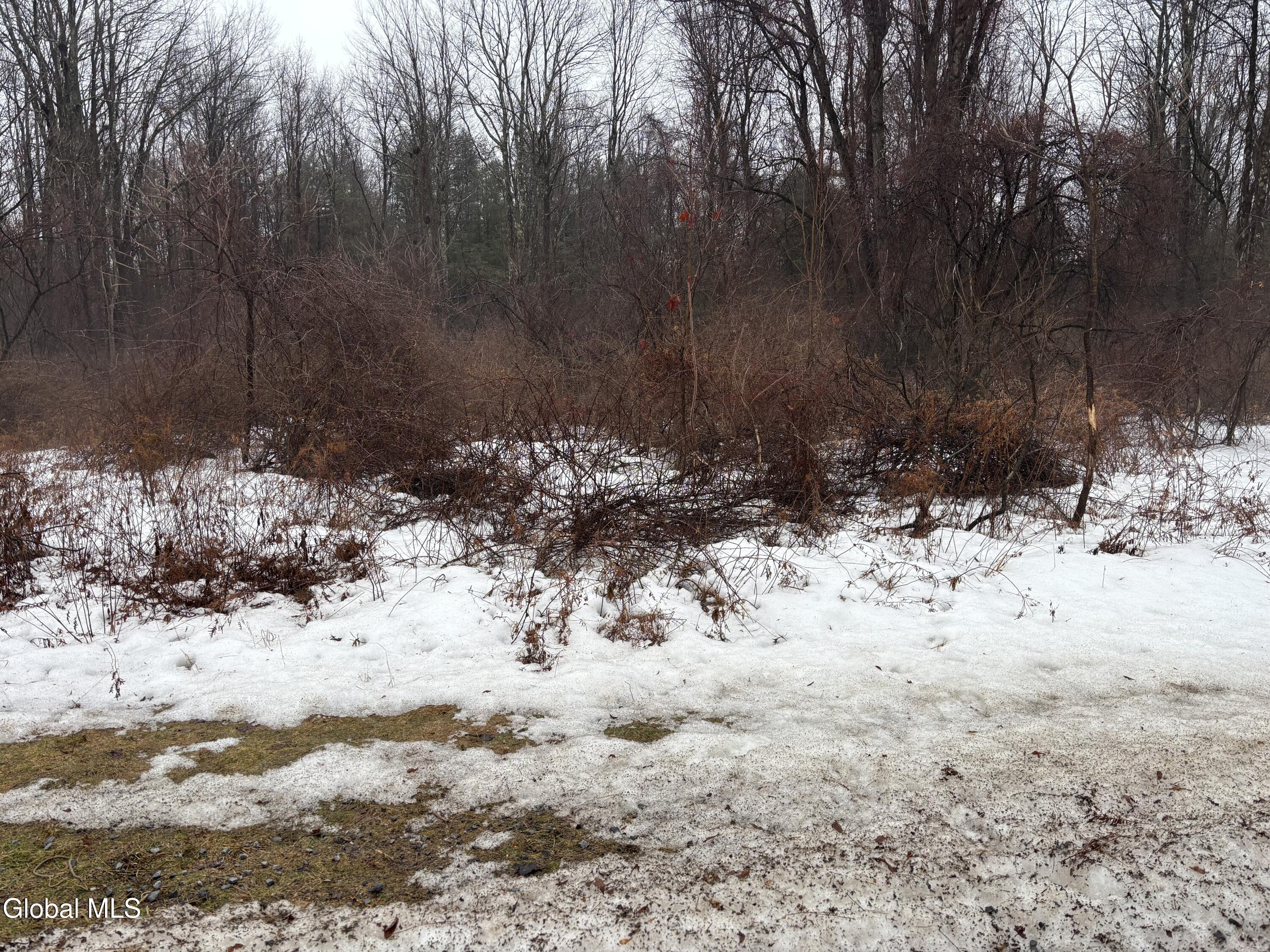 210 Daketown Road Greenfield, NY 12833 - Photo 1 of 1 pic1