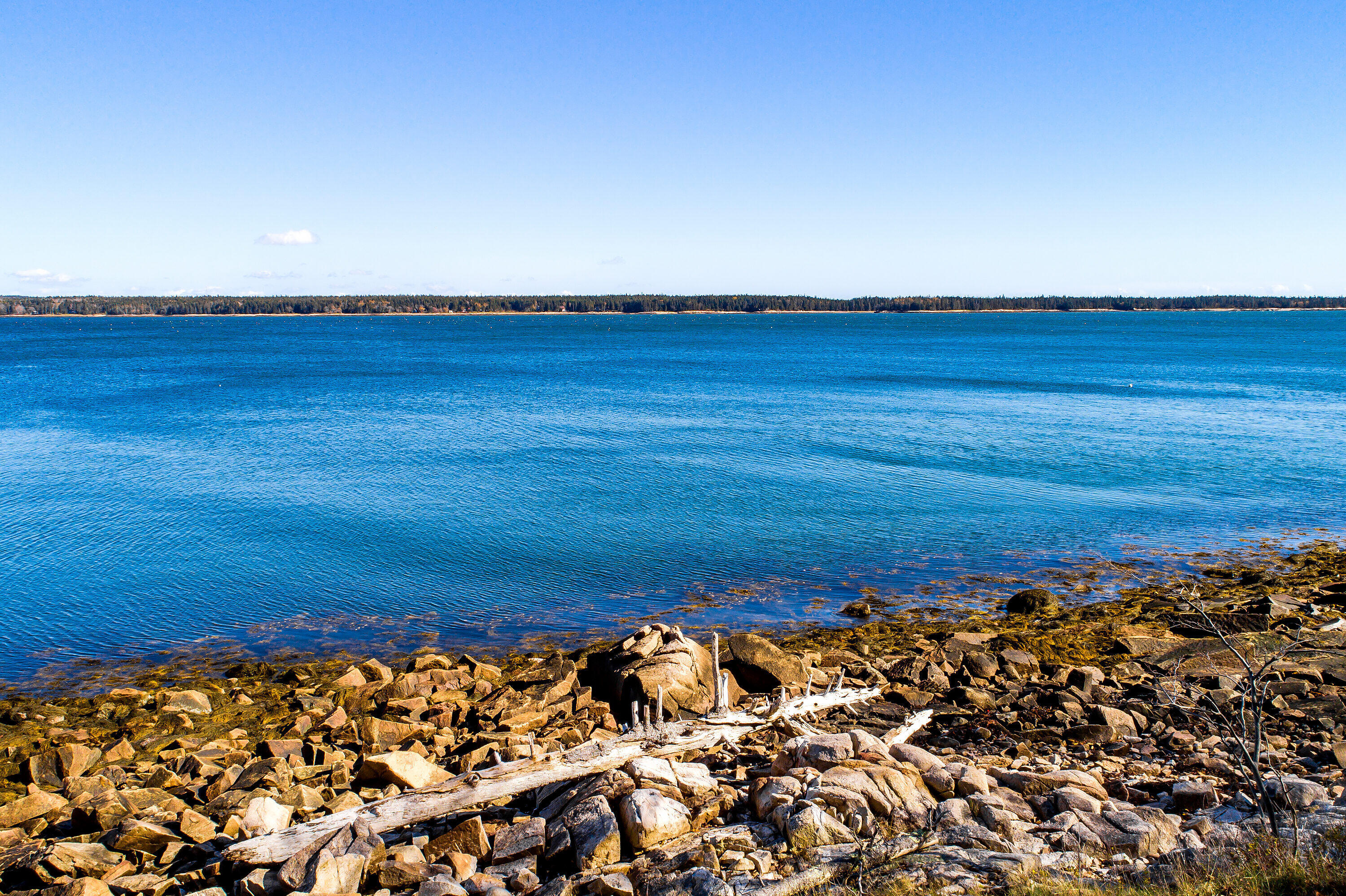 219 Paul Bunyan Road Gouldsboro, ME 04624 - Photo 25 of 27 219 PBR ocean's edge