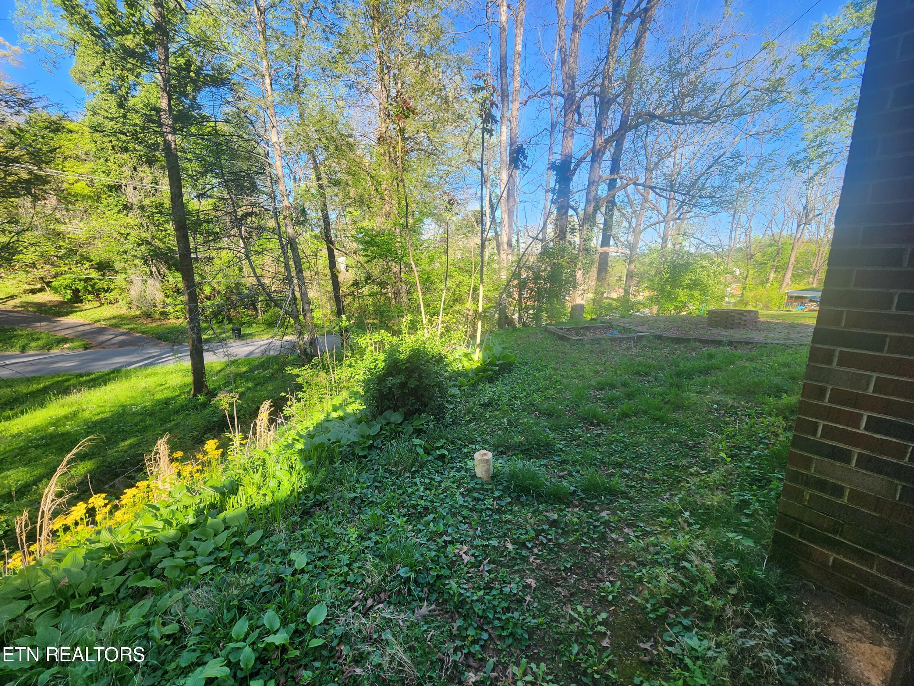 414 Guille Street Athens, TN 37303 - Photo 28 of 29 20260410_174014