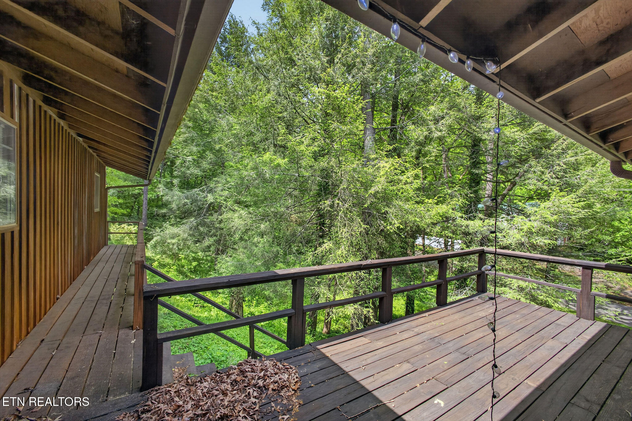414 Guille Street Athens, TN 37303 - Photo 4 of 29 LB1A5036