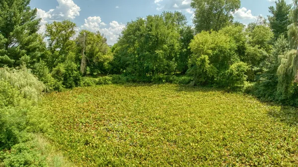 $549,000 | 7295 North Gibbs Road, Albion, MI 49224