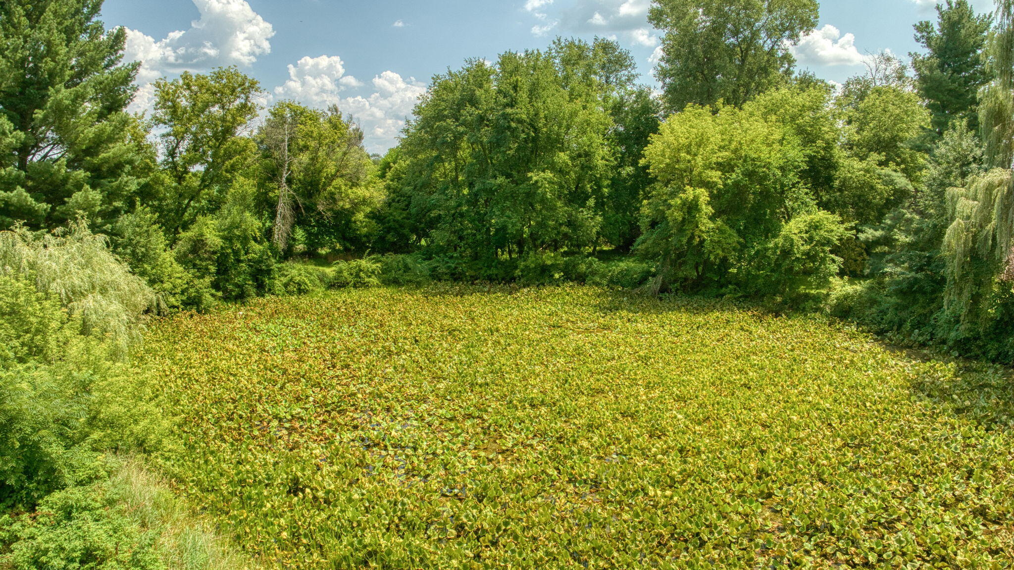 7295 North Gibbs Road Albion, MI 49224 - Photo 50 of 50 63-web-or-mls-DJI_0908_HDR
