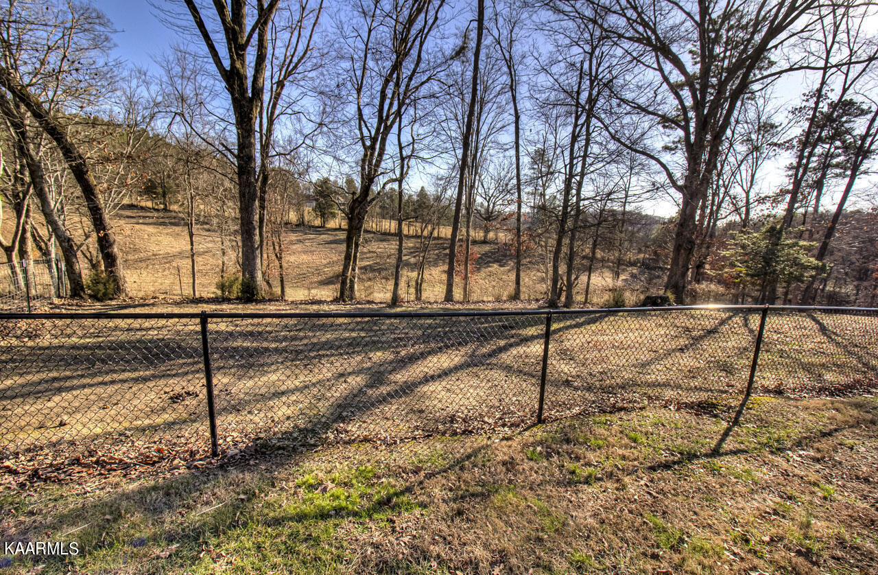 1900 Malone Road Loudon, TN 37774 - Photo 32 of 47 IMG_4074LR