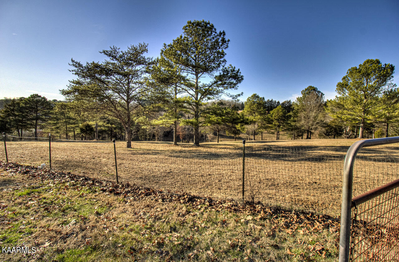 1900 Malone Road Loudon, TN 37774 - Photo 41 of 47 Paddock