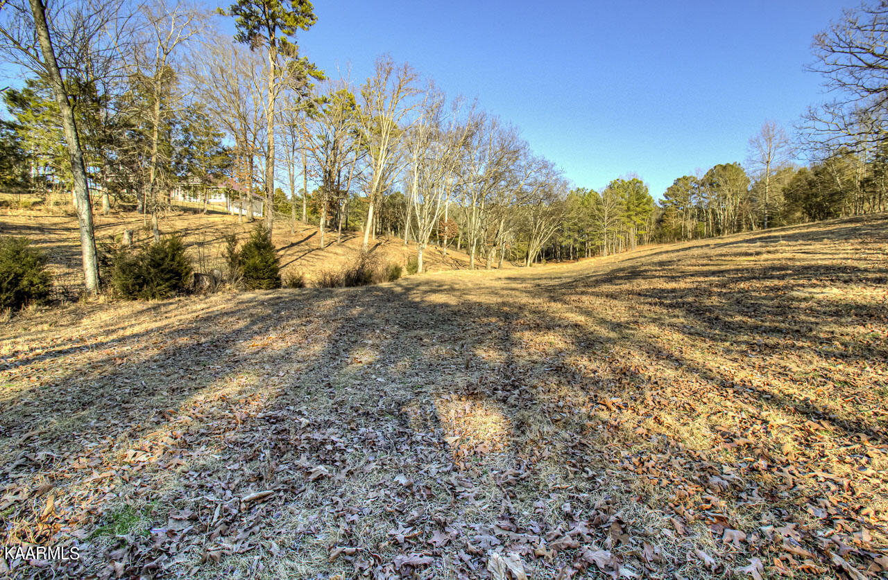 1900 Malone Road Loudon, TN 37774 - Photo 42 of 47 IMG_4278LR