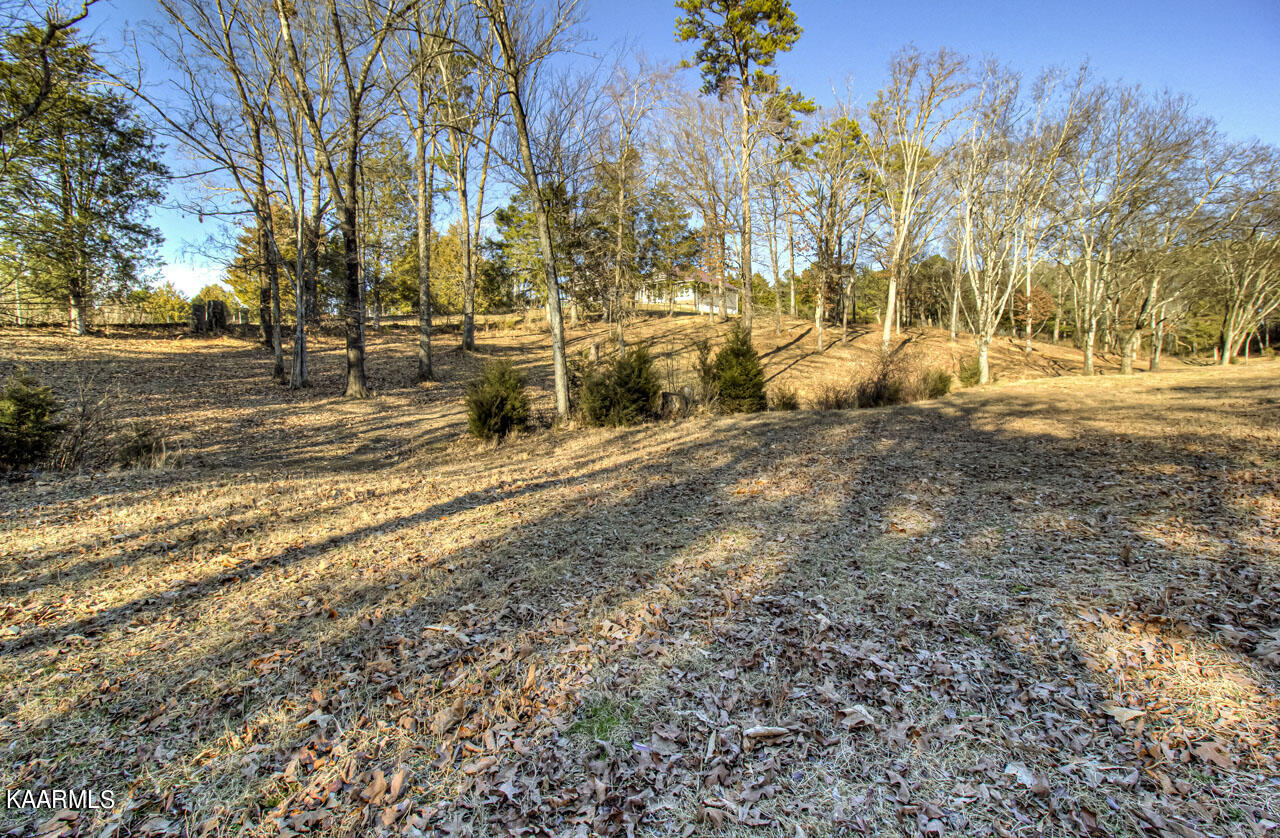 1900 Malone Road Loudon, TN 37774 - Photo 43 of 47 IMG_4284LR