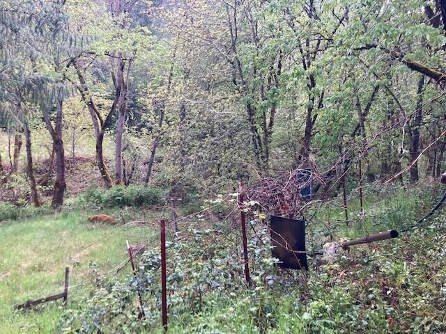 2230 Anderson Creek Road Talent, OR 97540 - Photo 22 of 27 2230 Anderson Creek - Pic 24