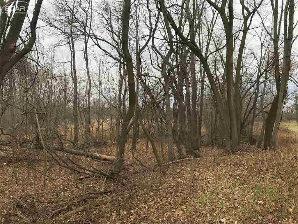 0 East Bennington Road Owosso, MI 48867 - Photo 1 of 5