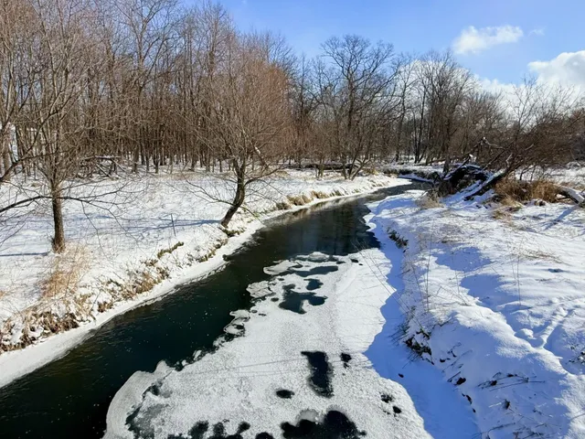 $748,000 | 3 Deer Hollow, DeForest, WI 53532