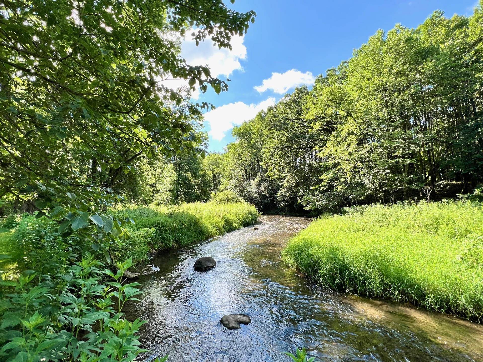 Unit 3 Deer Hollow DeForest, WI 53532 - Photo 43 of 45