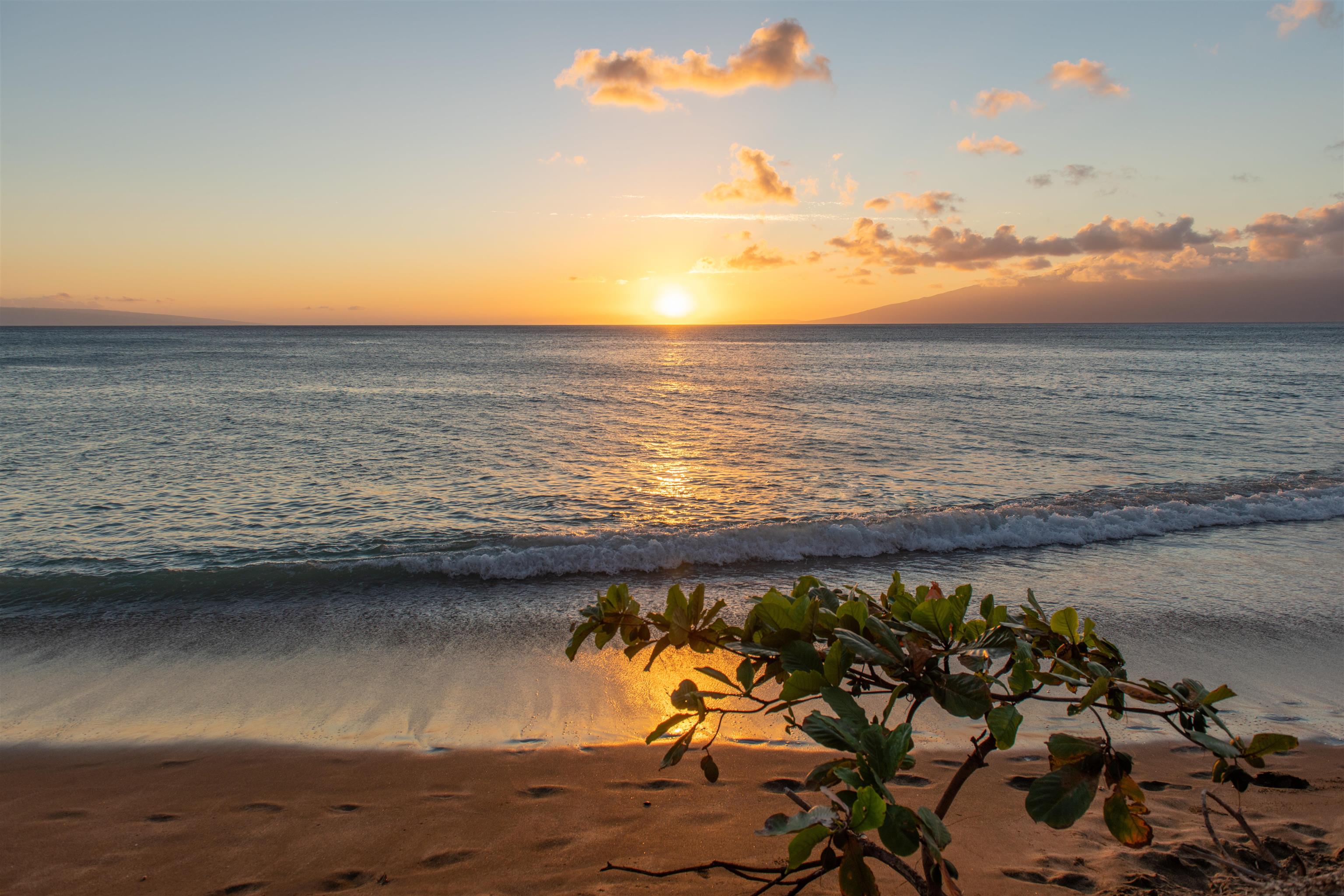 4299 Lower Honoapiilani Road, Unit 134 Lahaina, HI 96761 - Photo 40 of 50