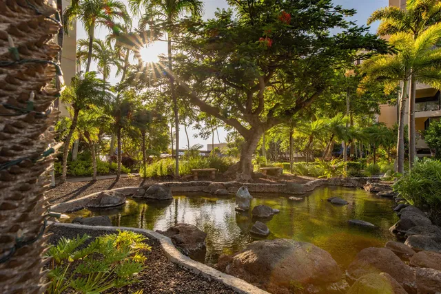 a view of water body with boats and trees