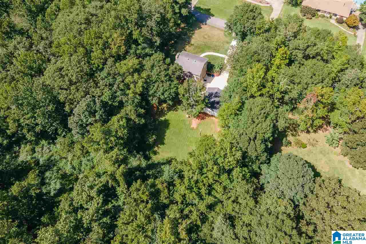 4511 Martin Wilson Road Trussville, AL 35173 - Photo 48 of 49