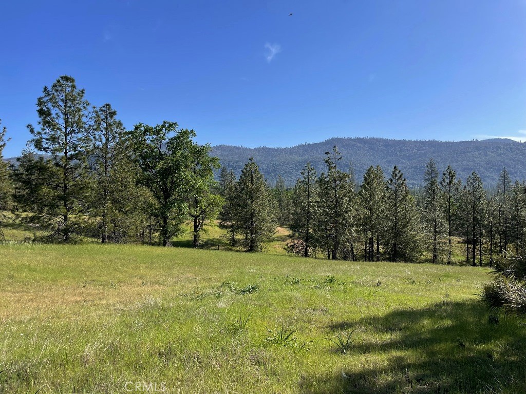 a view of a field with a tree in the background