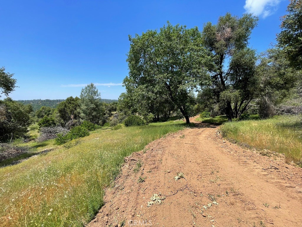 0 Triangle Road Mariposa, CA 95338 - Photo 12 of 18 a view of a lake with a yard