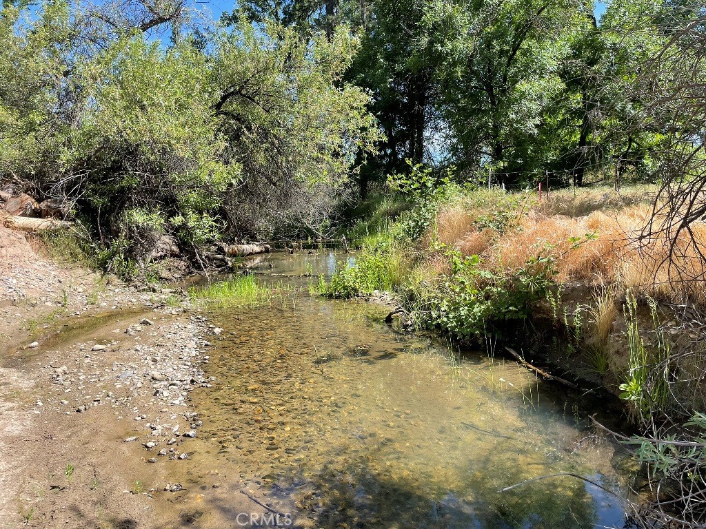 0 Triangle Road Mariposa, CA 95338 - Photo 6 of 18 a view of a yard with a tree