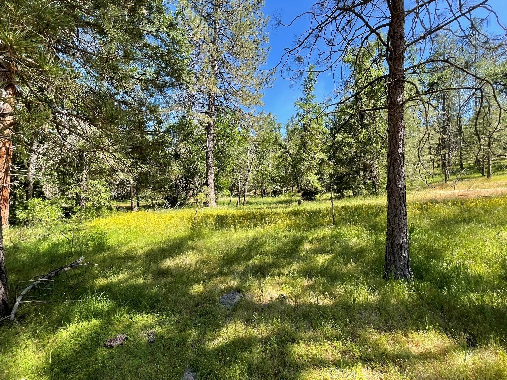 0 Triangle Road Mariposa, CA 95338 - Photo 7 of 18 a view of yard with green space